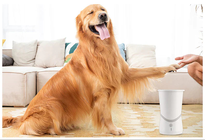 Pulitore Zampe Cane | Fine al Fango in Casa